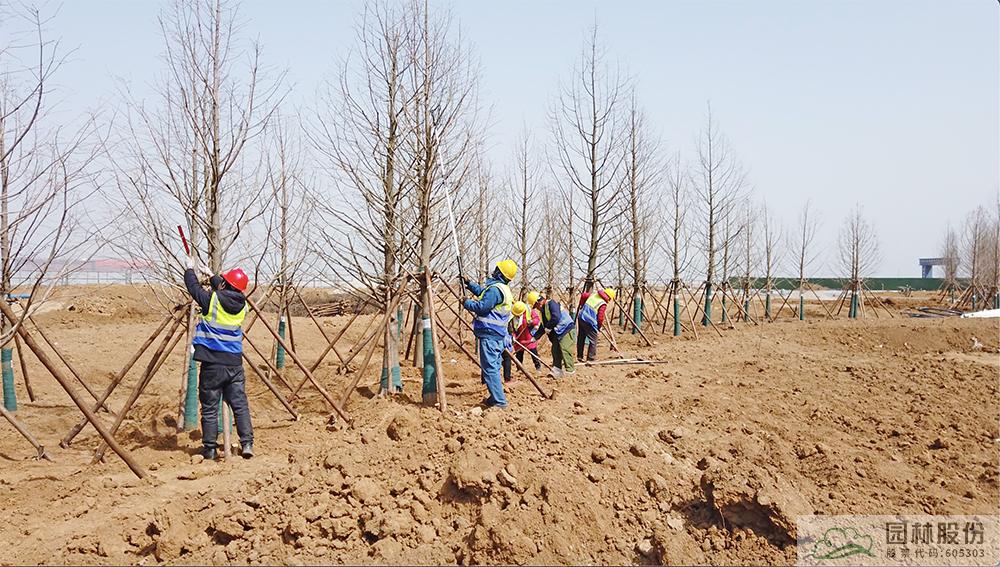 亚洲精品白浆高清久久久久久