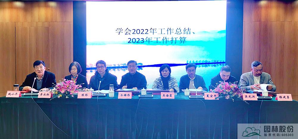 亚洲精品白浆高清久久久久久