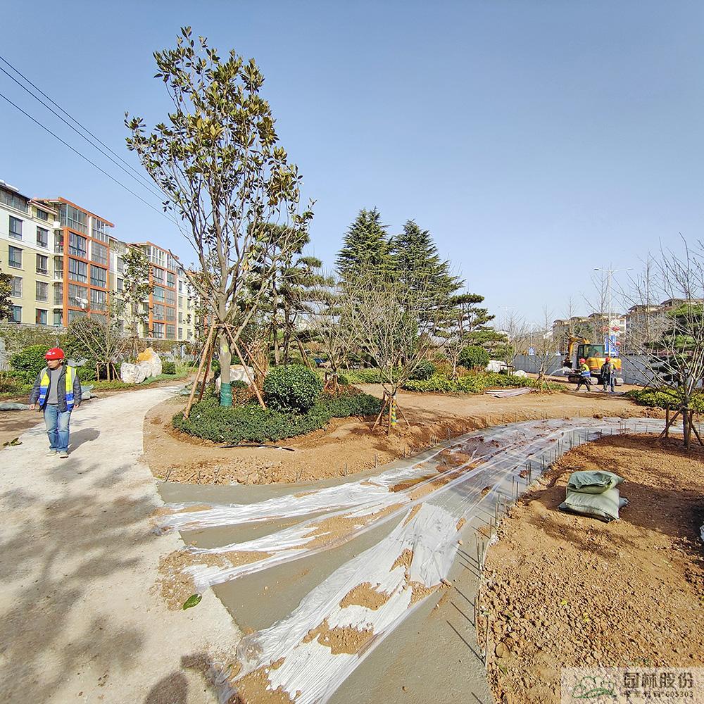 亚洲精品白浆高清久久久久久