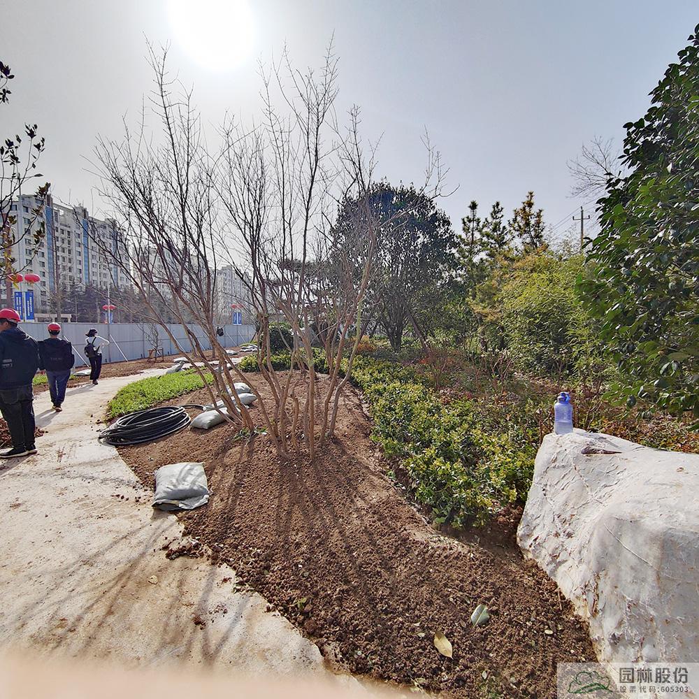 亚洲精品白浆高清久久久久久