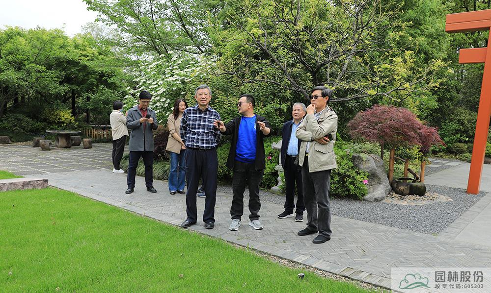 亚洲精品白浆高清久久久久久