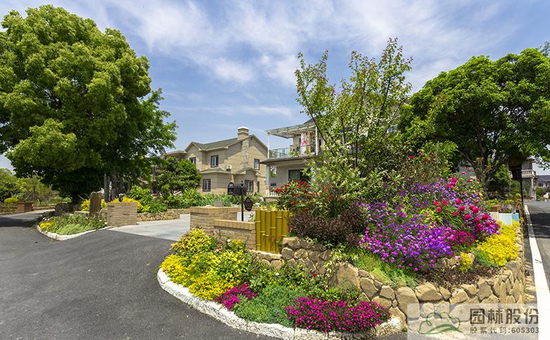 亚洲精品白浆高清久久久久久