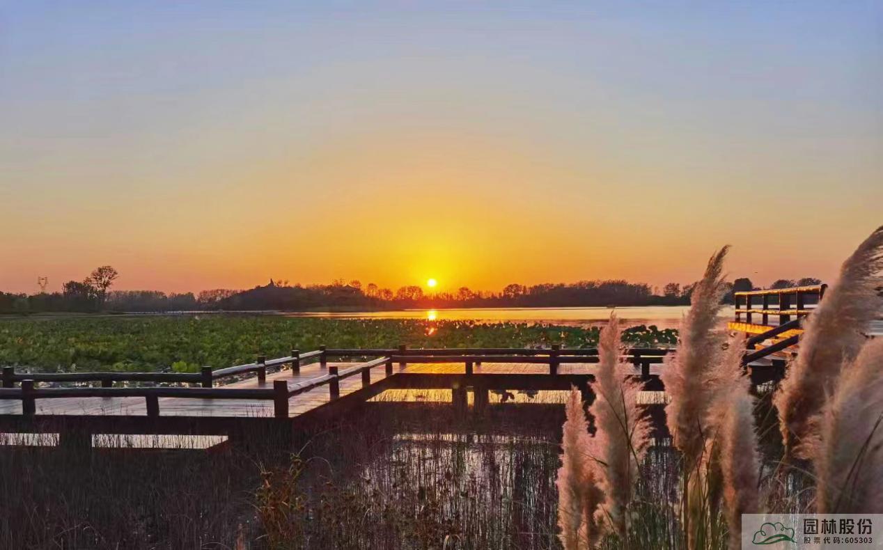 亚洲精品白浆高清久久久久久