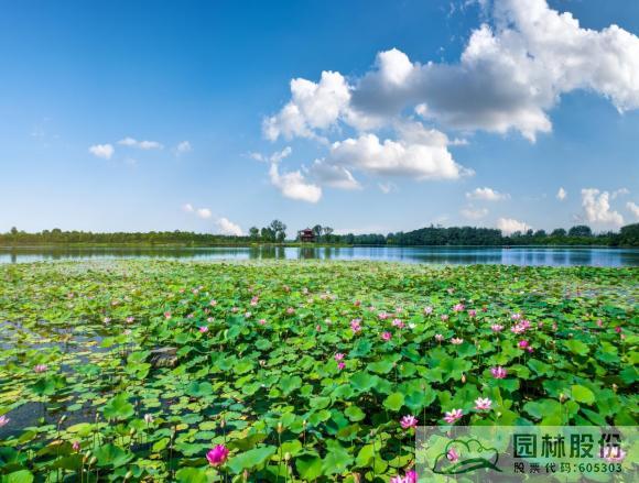 亚洲精品白浆高清久久久久久