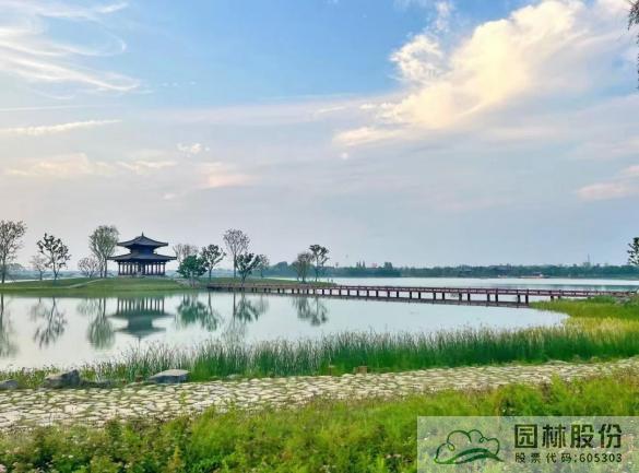 亚洲精品白浆高清久久久久久