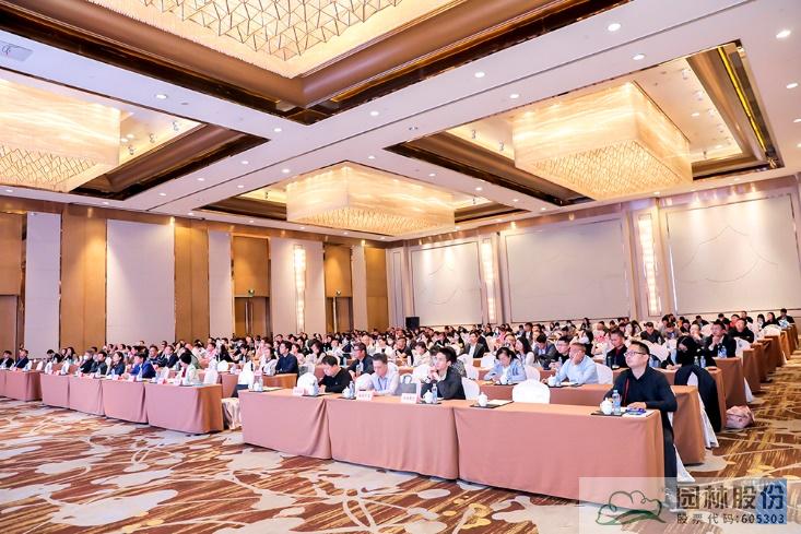 亚洲精品白浆高清久久久久久