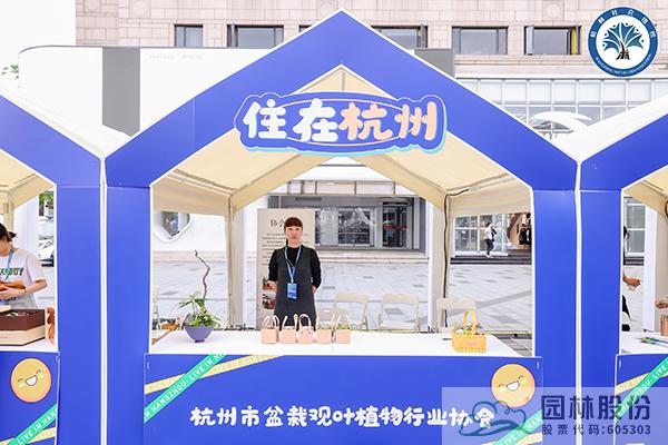 亚洲精品白浆高清久久久久久