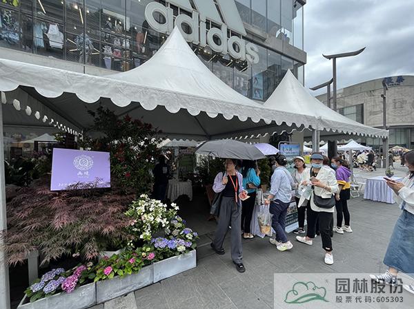 亚洲精品白浆高清久久久久久