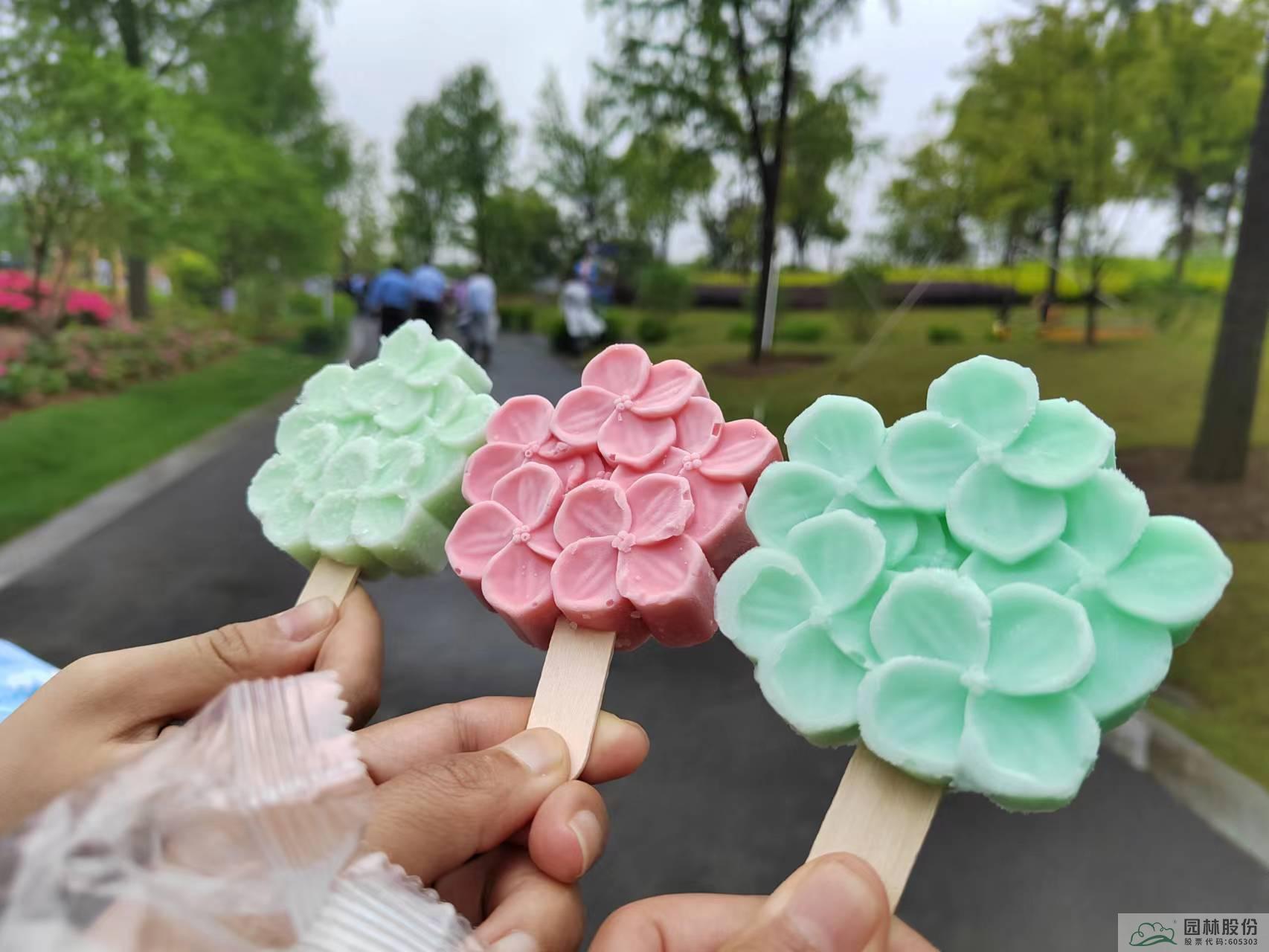 亚洲精品白浆高清久久久久久