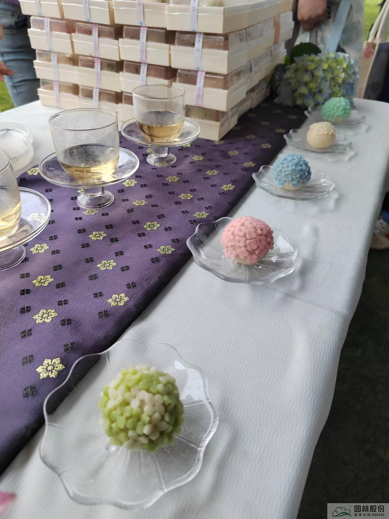 亚洲精品白浆高清久久久久久