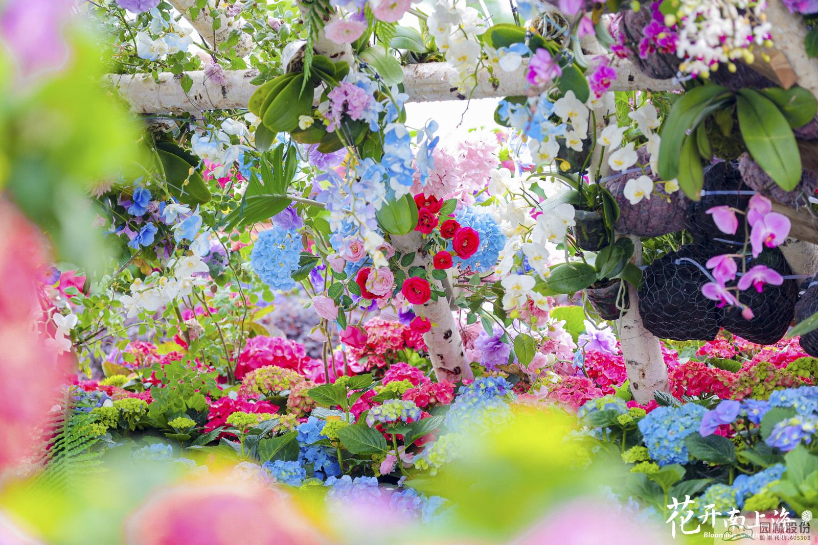 亚洲精品白浆高清久久久久久