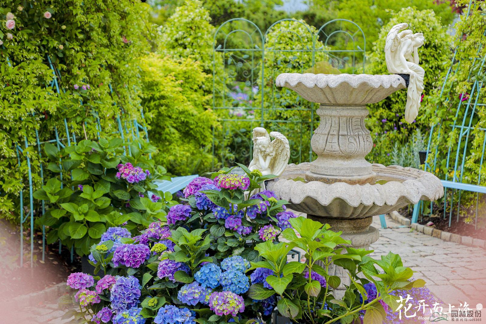 亚洲精品白浆高清久久久久久