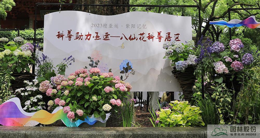 亚洲精品白浆高清久久久久久