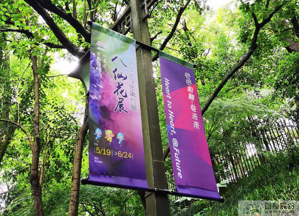 亚洲精品白浆高清久久久久久