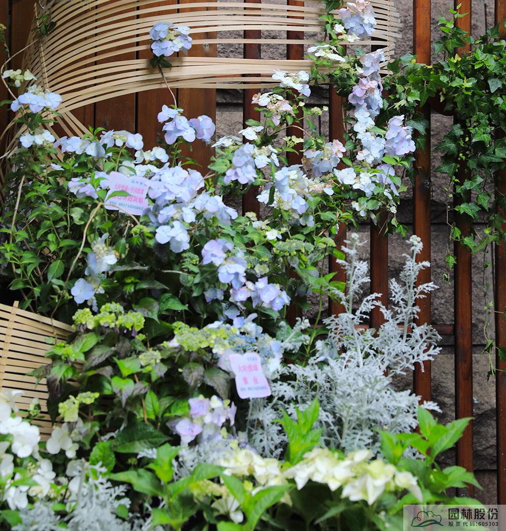 亚洲精品白浆高清久久久久久