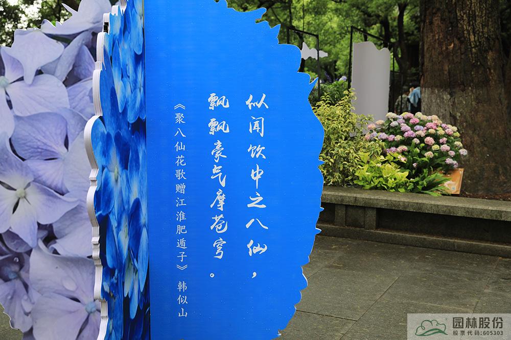 亚洲精品白浆高清久久久久久