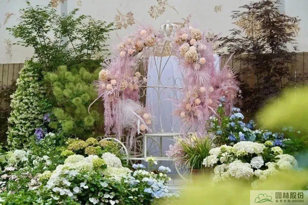 亚洲精品白浆高清久久久久久