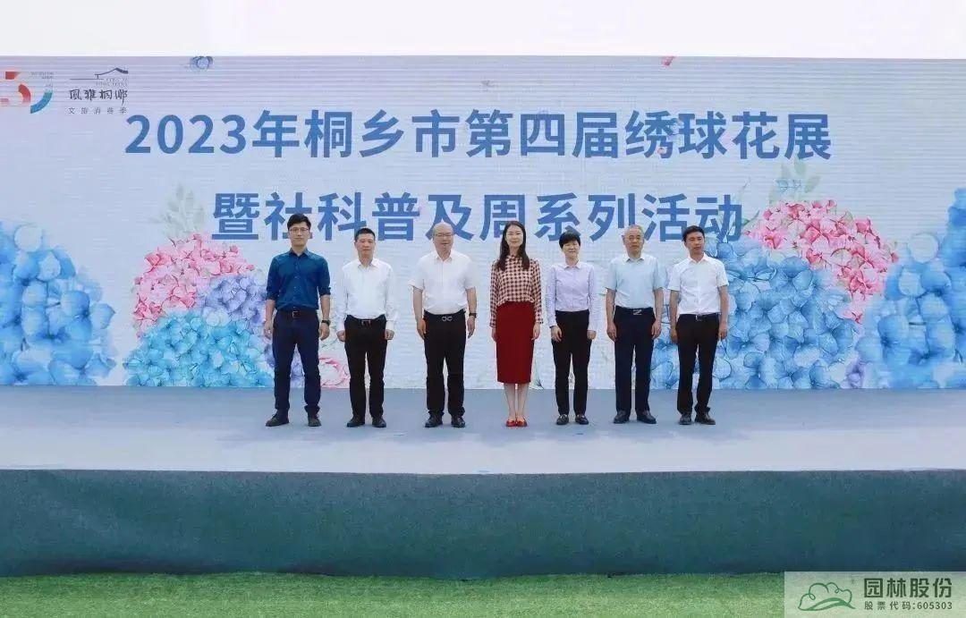 亚洲精品白浆高清久久久久久