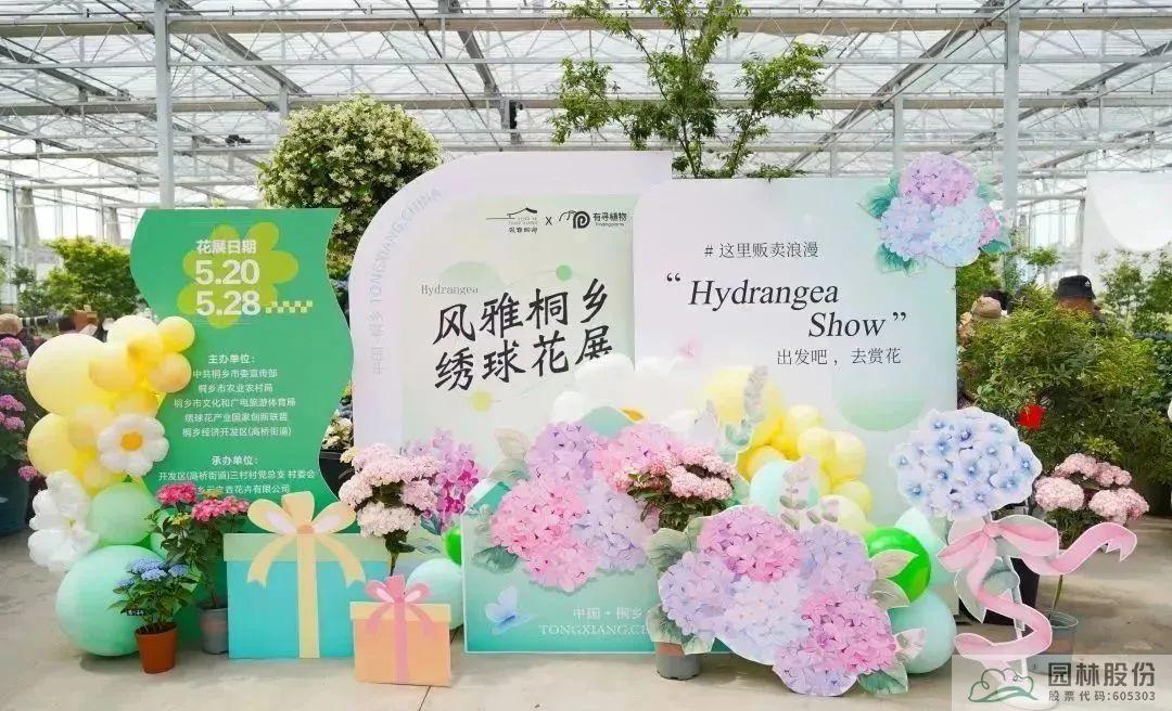 亚洲精品白浆高清久久久久久