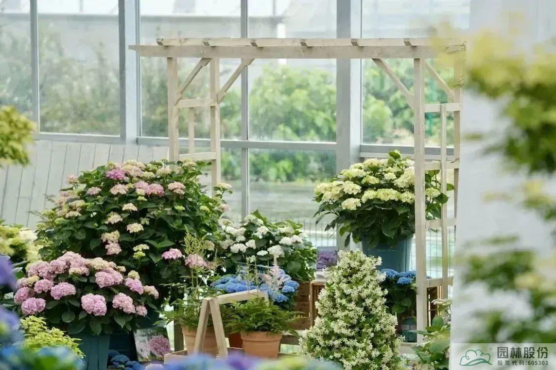 亚洲精品白浆高清久久久久久