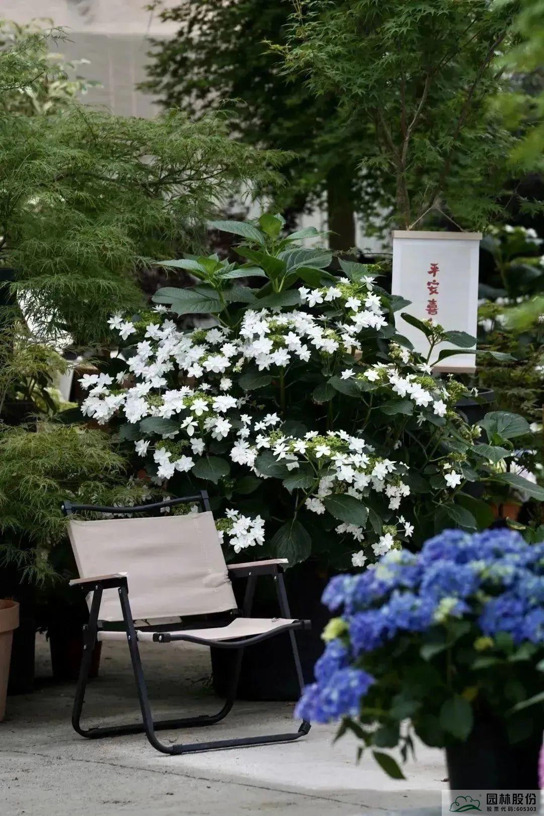 亚洲精品白浆高清久久久久久