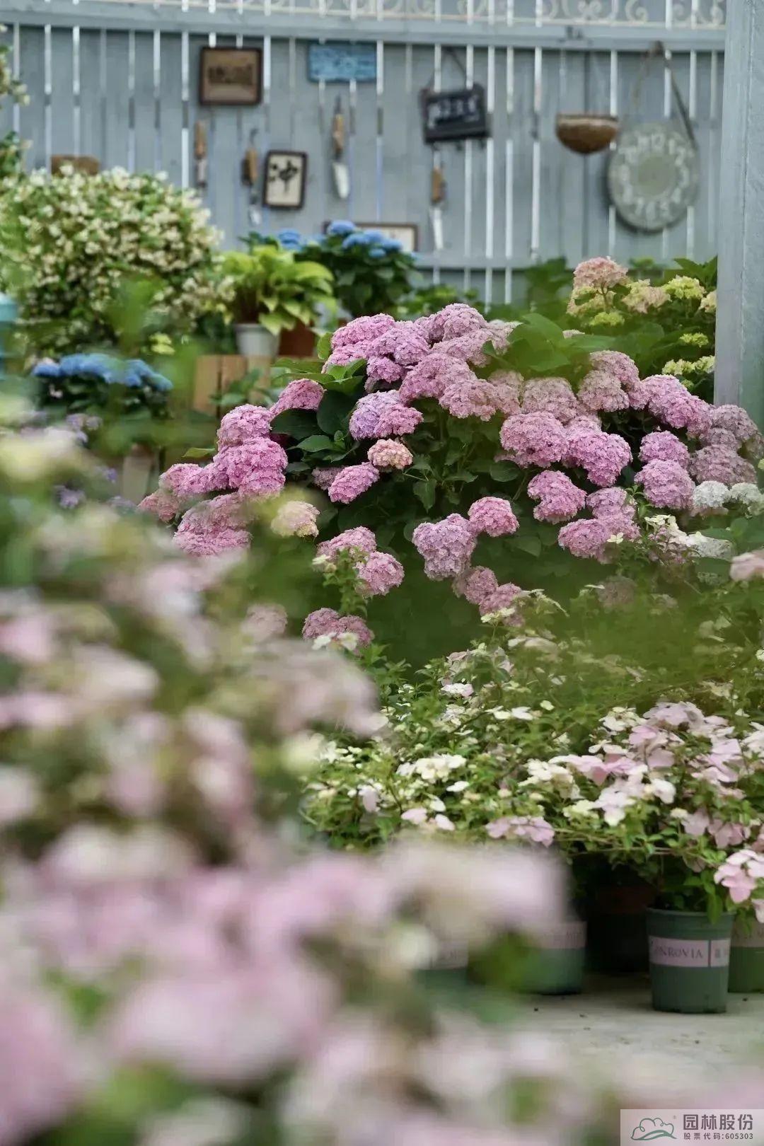 亚洲精品白浆高清久久久久久