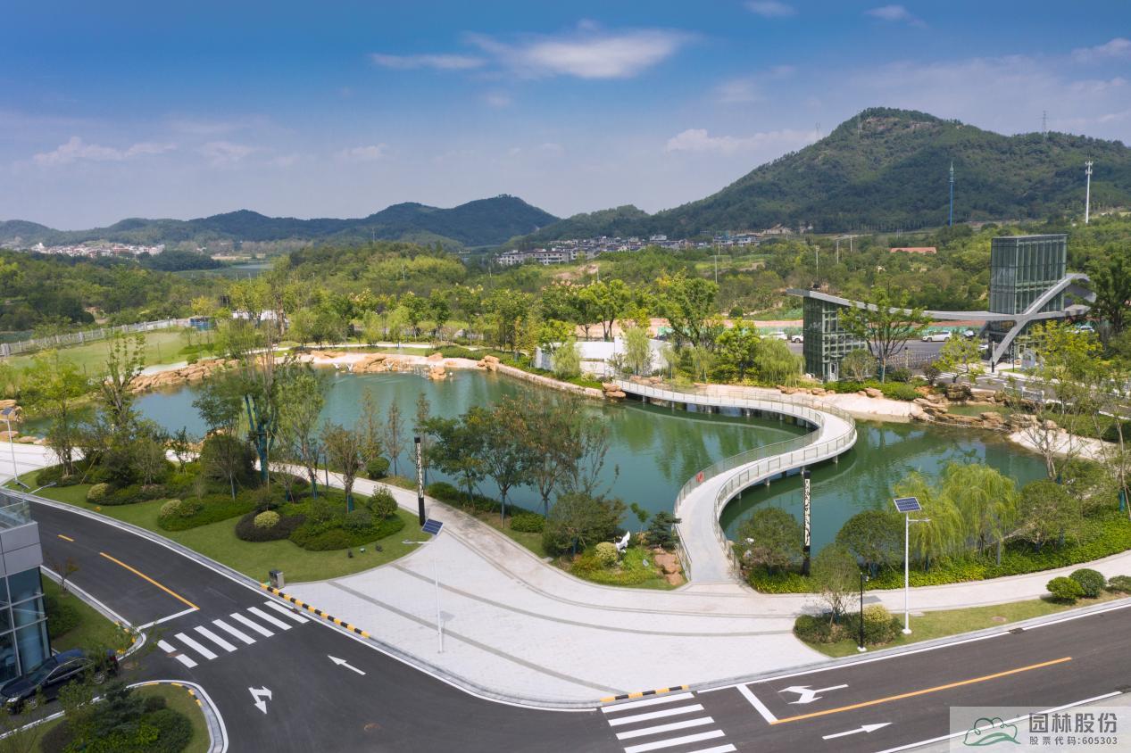 亚洲精品白浆高清久久久久久