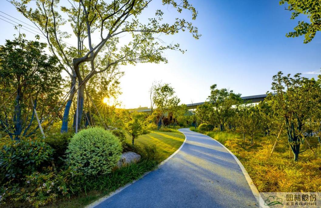 亚洲精品白浆高清久久久久久