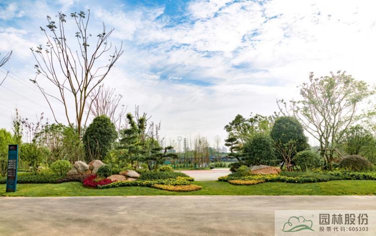 亚洲精品白浆高清久久久久久