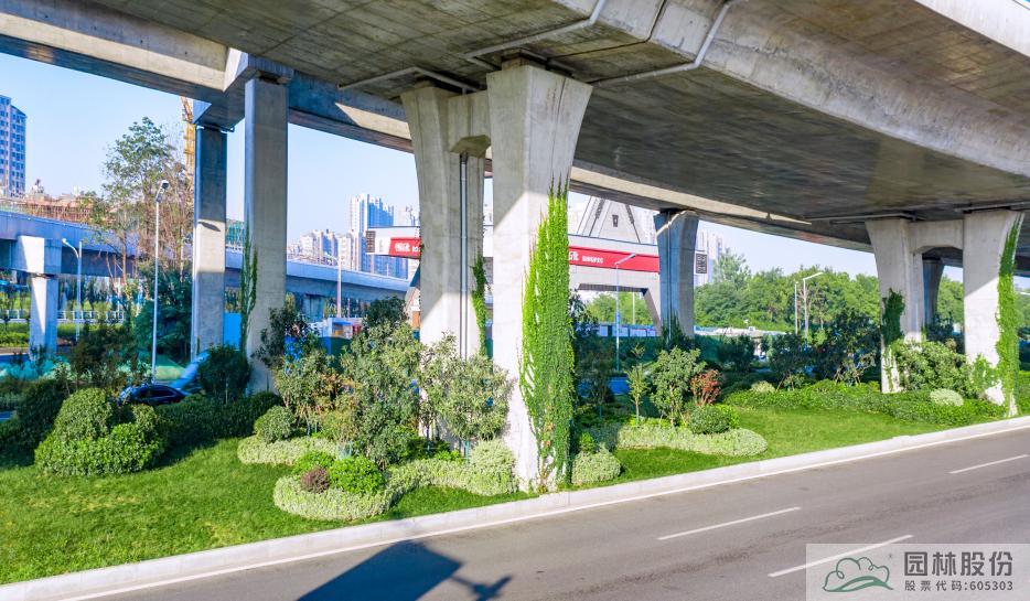 亚洲精品白浆高清久久久久久