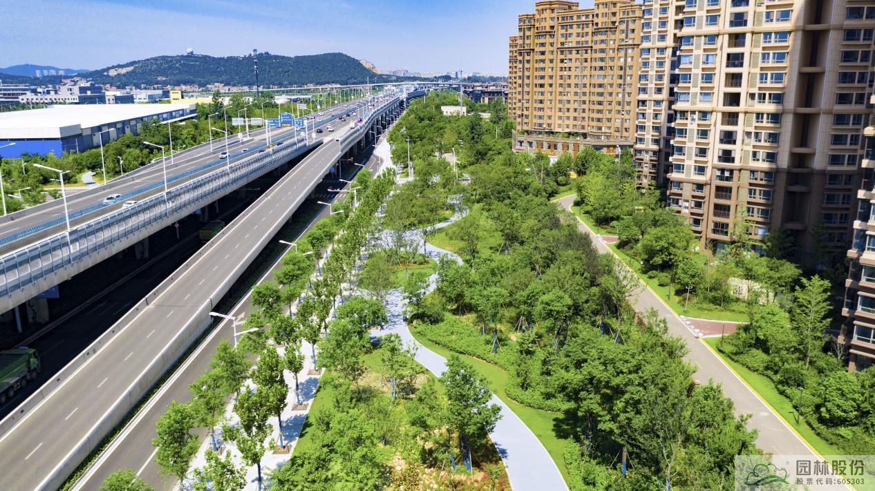 亚洲精品白浆高清久久久久久