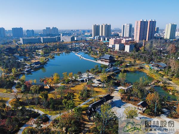 亚洲精品白浆高清久久久久久