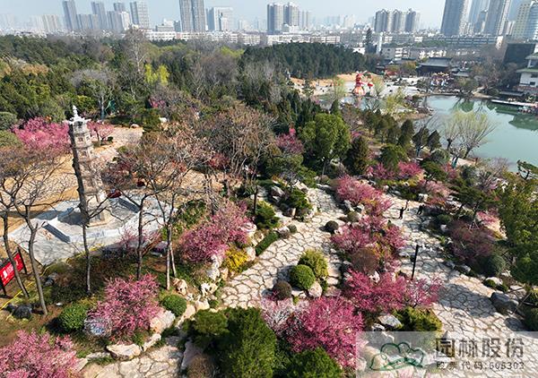 亚洲精品白浆高清久久久久久