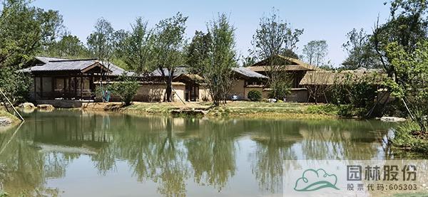 亚洲精品白浆高清久久久久久