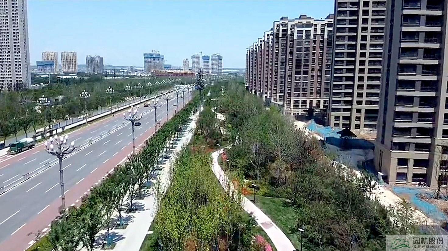 亚洲精品白浆高清久久久久久