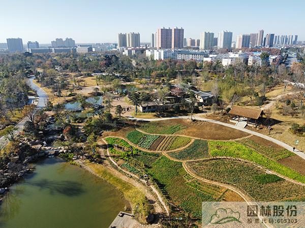 亚洲精品白浆高清久久久久久