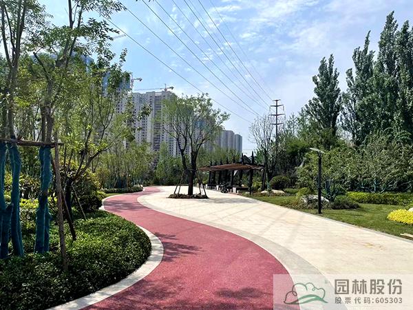 亚洲精品白浆高清久久久久久