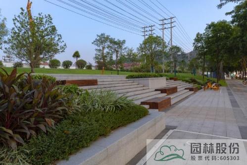 亚洲精品白浆高清久久久久久