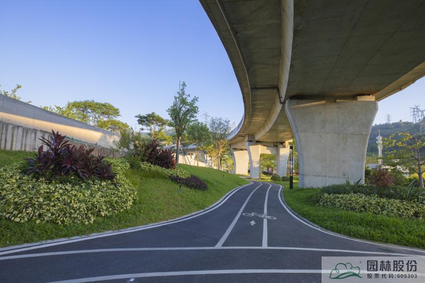 亚洲精品白浆高清久久久久久