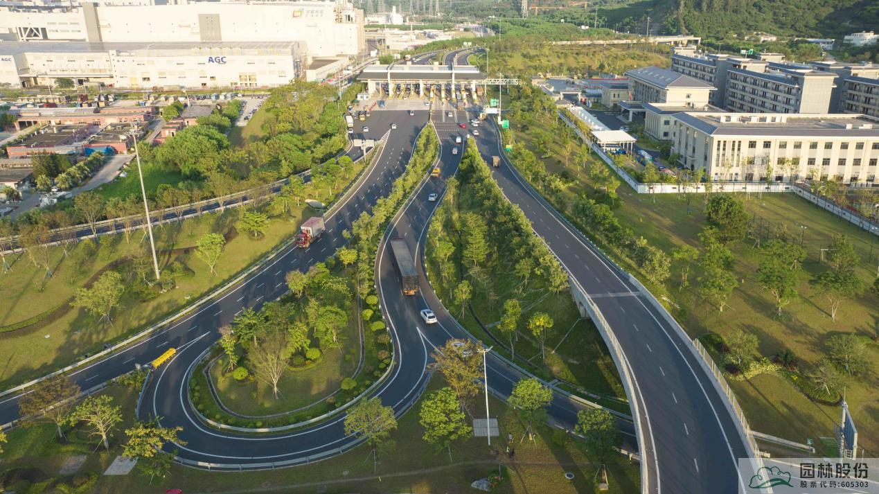 亚洲精品白浆高清久久久久久