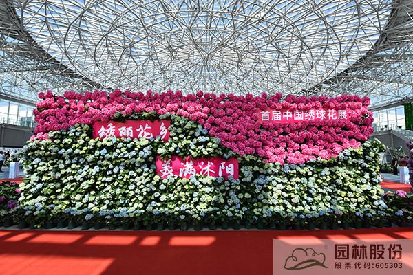 亚洲精品白浆高清久久久久久