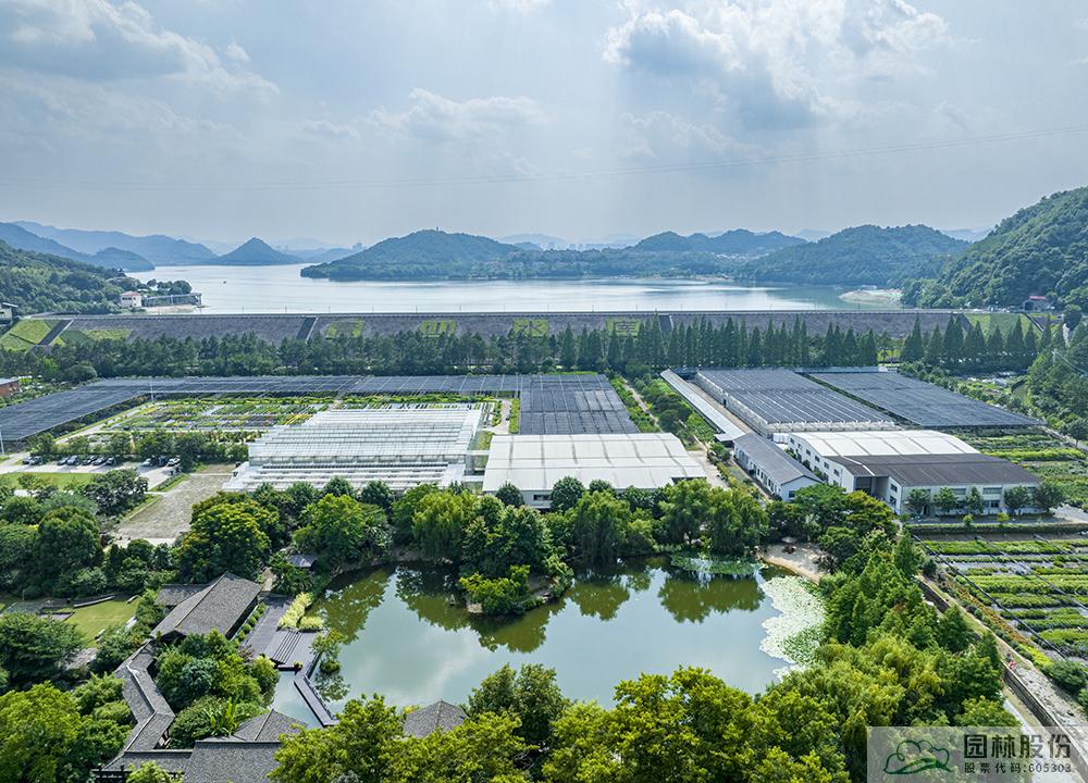 亚洲精品白浆高清久久久久久