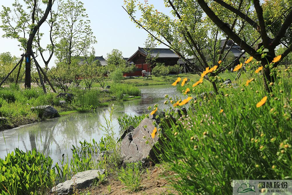 亚洲精品白浆高清久久久久久