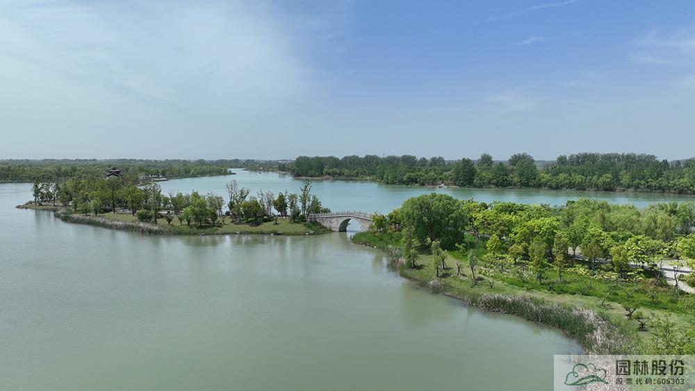 亚洲精品白浆高清久久久久久