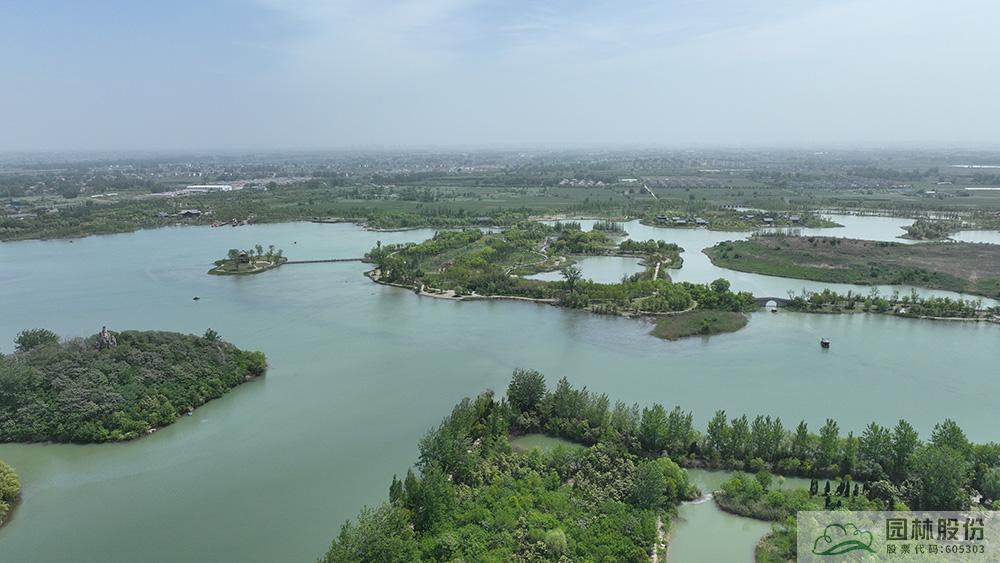 亚洲精品白浆高清久久久久久