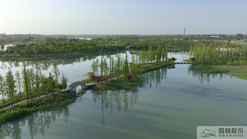 亚洲精品白浆高清久久久久久