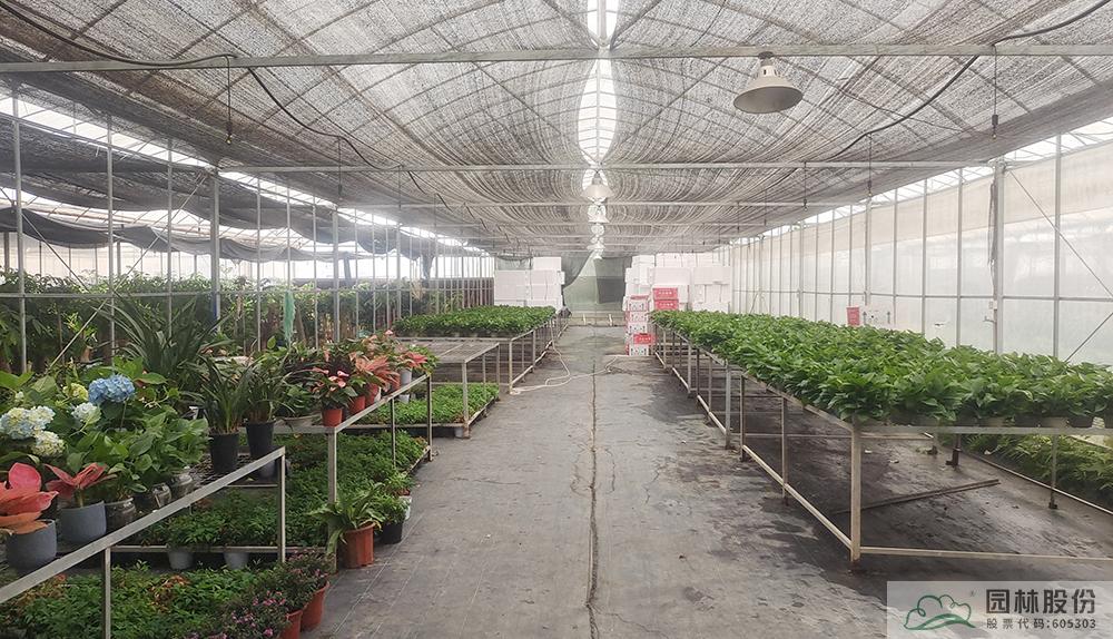 亚洲精品白浆高清久久久久久