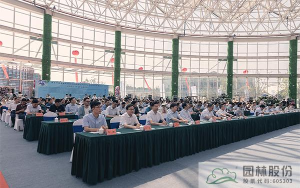 亚洲精品白浆高清久久久久久