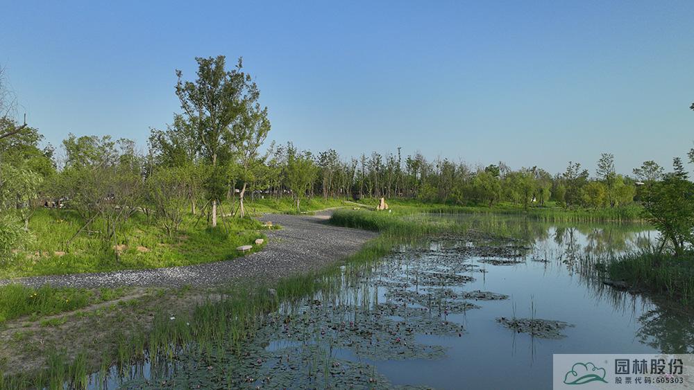 亚洲精品白浆高清久久久久久