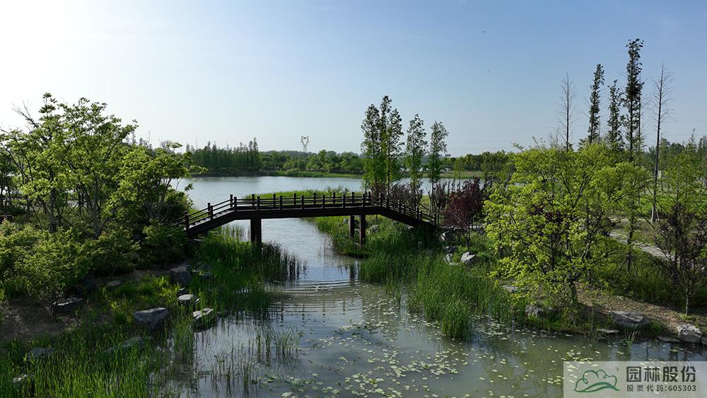 亚洲精品白浆高清久久久久久